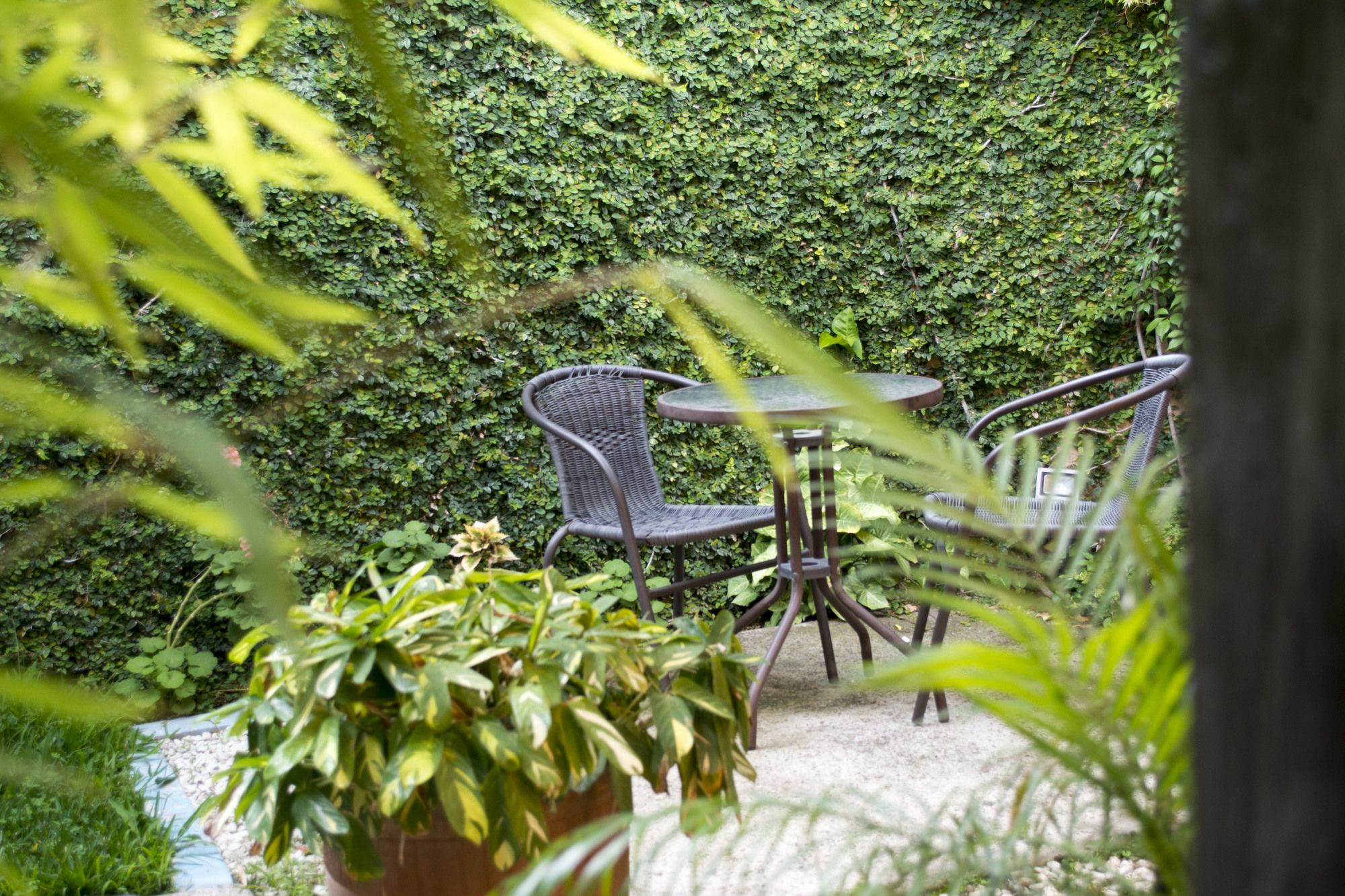 Casa Bella Boutique Hotel Antigua Екстер'єр фото